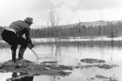 Fiskutplantering-i-Borkan-ca-1956_09_resultat