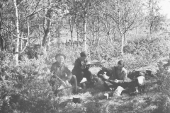 Renskiljning-Batsjon_Ransarn_29